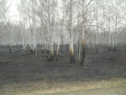 DSCN0474.JPG