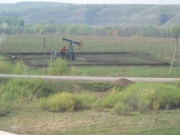 DSCN0603.JPG