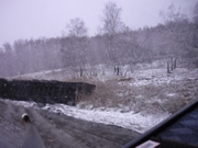 P1010701.JPG